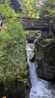 PXL_20250815_073321960
