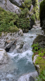 PXL_20250815_073454561