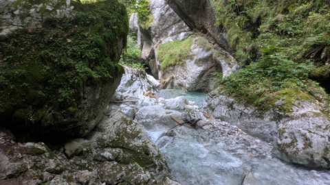 PXL_20250815_073558368