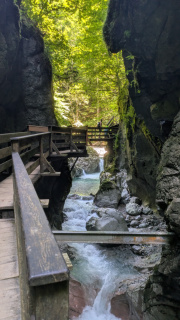 PXL_20250815_073843533