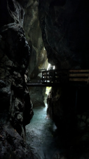 PXL_20250815_074619099