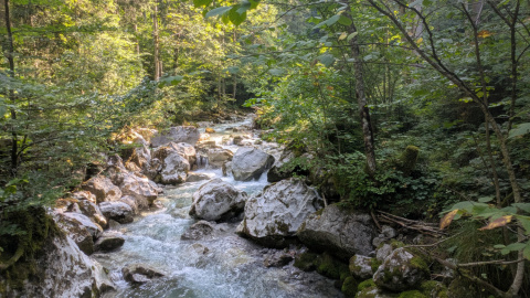PXL_20250815_075804391
