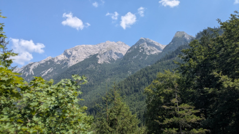 PXL_20250815_121506886