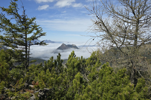 Spitzstein 17.04.2025
