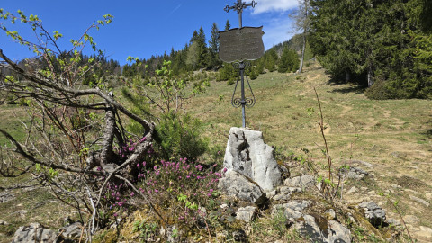 2025.04.17-DoKombi-Spitzstein-22