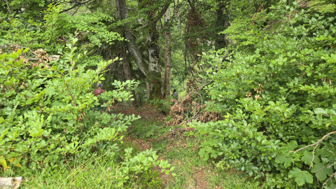 2025-06-26-AV-Steinerne-Agnes-Karkopf-16