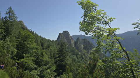 2025-06-26-AV-Steinerne-Agnes-Karkopf-4