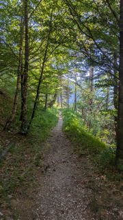 PXL_20260529_075007022.MP_