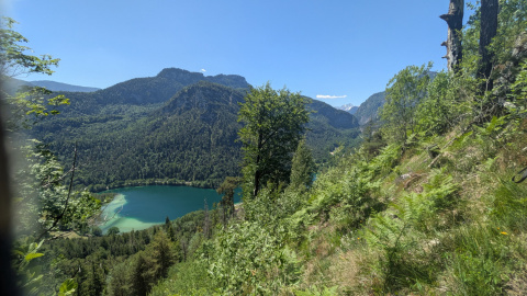 PXL_20260529_094617674.MP_