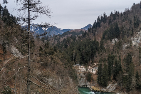 Vom Klobenstein über die Ottenalm nach Walchsee 05.01.2024