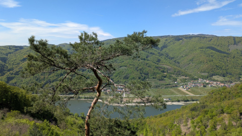 PXL_20260423_104252669.MP_