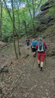 PXL_20260424_075530887