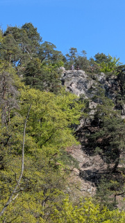 PXL_20260424_090713300.MP_