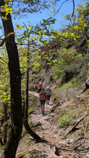 PXL_20260424_091029749.MP_