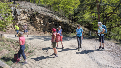 PXL_20260424_121225164.MP_