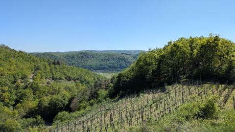 PXL_20260424_123548794.MP_