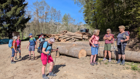 PXL_20260425_075733641.MP_