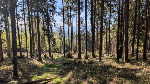 PXL_20260425_082252611.MP_