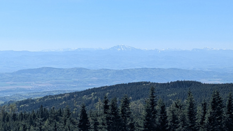 PXL_20260425_094132864.MP_