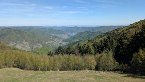 PXL_20260425_112316597.MP_