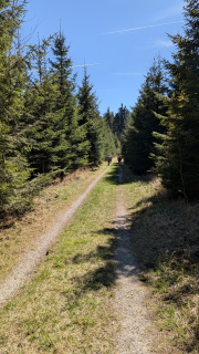 PXL_20260425_123224579