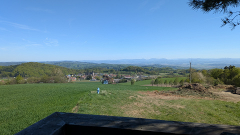 PXL_20260425_131957473.MP_