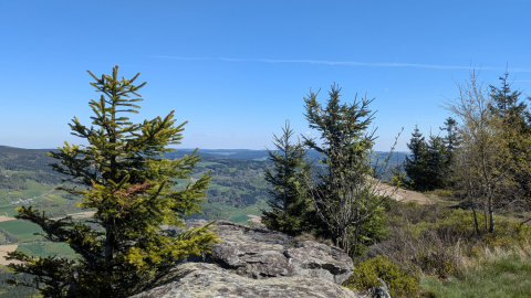 PXL_20260426_092813556