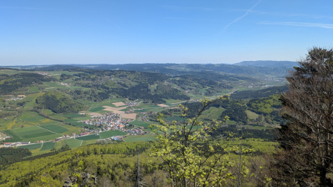 PXL_20260426_095451456