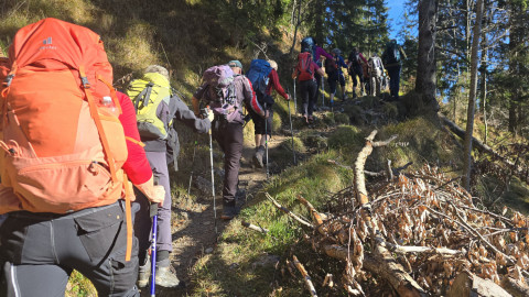 2025-11-06-AV-Wank-8