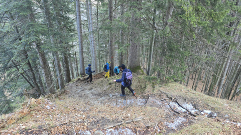 2026-02-05-AV-Wendelstein-61