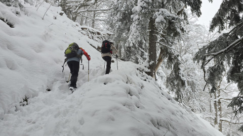 2025-11-27-AV-Wildbarren-23