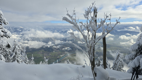 2025-11-27-AV-Wildbarren-36