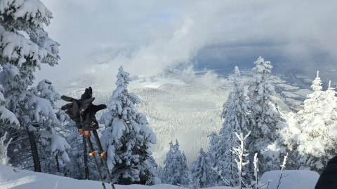 2025-11-27-AV-Wildbarren-40