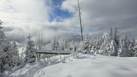 2025-11-27-AV-Wildbarren-45