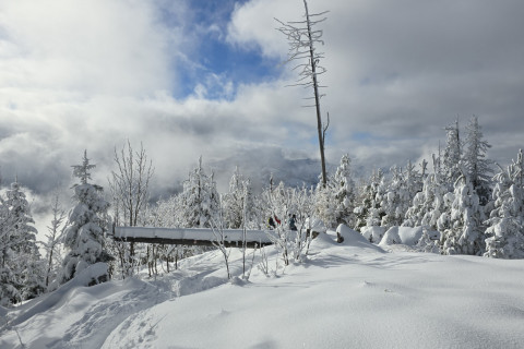 Wildbarren 27.11.2025