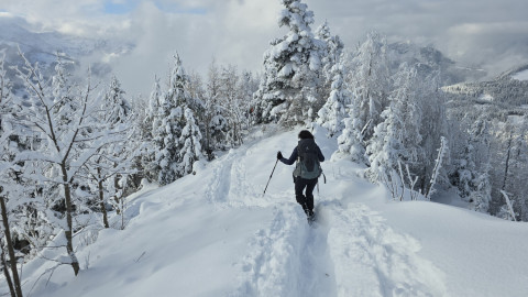 2025-11-27-AV-Wildbarren-47