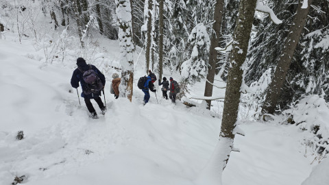 2025-11-27-AV-Wildbarren-51