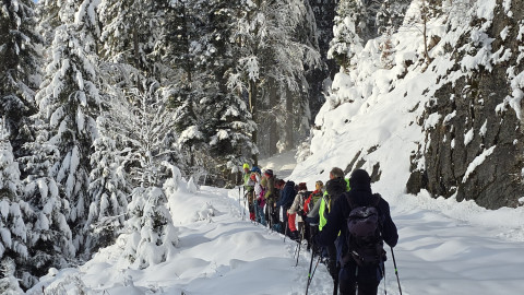 2025-11-27-AV-Wildbarren-56