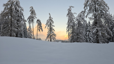 2025-11-27-AV-Wildbarren-59