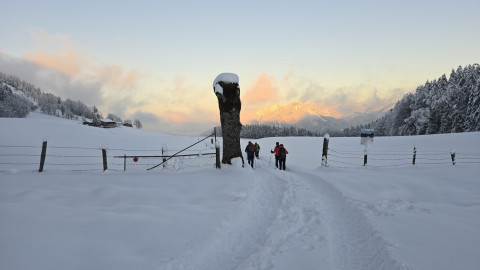 2025-11-27-AV-Wildbarren-60