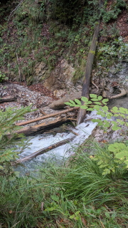 PXL_20260925_084042128