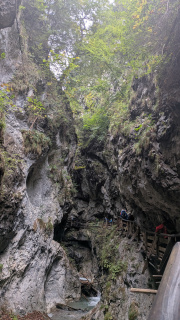 PXL_20260925_084235658