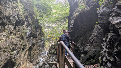 PXL_20260925_085055425