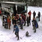 Bus1