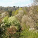 K_P1030181 – Kopie (2)
